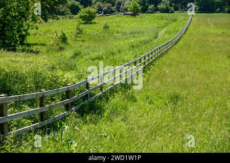 Langer, gerader, hölzerner Pfosten- und Eisenbahnzaun über ein Feld mit grünem Gras mit Waldbäumen dahinter, Derbyshire, England, Großbritannien Stockfoto