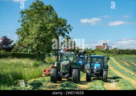 Landwirtschaftliche Traktoren Mähen, Schneiden und Sammeln von grünem Erntegut für Silage oder Futter in landwirtschaftlichen Betrieben, die an trockenen sonnigen Tagen im Juni in Leicestershire, England, Großbritannien abgelegt werden Stockfoto