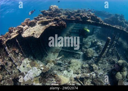 Eine Unterwasserszene im Roten Meer mit einem Taucher, der das berühmte Schiffswrack von Kingston erforscht, umgeben von blühenden Korallenriffen und wimmelnder Mutter Stockfoto