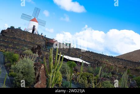 Der Jardín de Cactus ist ein Kaktusgarten im Norden von Guatiza an der Nordostküste Lanzarotes. Beliebte Touristenattraktion. Stockfoto