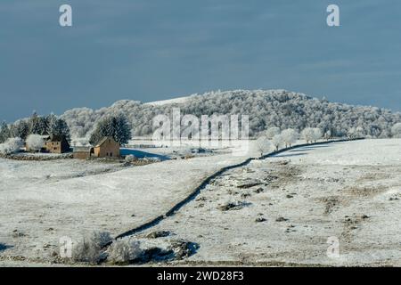 Schneebedeckte Winterlandschaft des Aubrac-Plateaus in Lozere, Occitanie, Frankreich Stockfoto