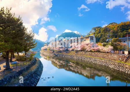Kyoto, Japan - 1. April 2023: Präfekturaler Uji Park mit voller Kirschblüte ist das Symbol der Stadt Uji mit schöner Landschaft der Stadt und PR Stockfoto