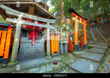 Kyoto, Japan - 1. April 2023: Fushimi Inari-taisha, erbaut im Jahr 1499, ist es das Symbol eines Weges, der von Tausenden von Torii-Toren mit malerischer, voller Blüte gesäumt ist Stockfoto