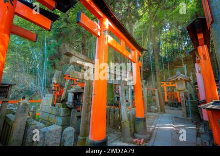 Kyoto, Japan - 1. April 2023: Fushimi Inari-taisha, erbaut im Jahr 1499, ist es das Symbol eines Weges, der von Tausenden von Torii-Toren mit malerischer, voller Blüte gesäumt ist Stockfoto