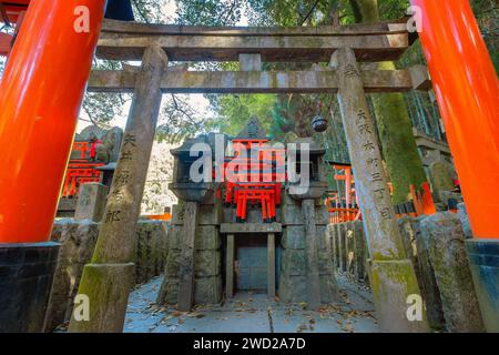 Kyoto, Japan - 1. April 2023: Fushimi Inari-taisha, erbaut im Jahr 1499, ist es das Symbol eines Weges, der von Tausenden von Torii-Toren mit malerischer, voller Blüte gesäumt ist Stockfoto