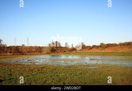 Überflutete Weidefläche nach Überflutung des Flusses Tas nach starken Regenfällen in Caistor St Edmund, Norfolk, England, Vereinigtes Königreich. Stockfoto