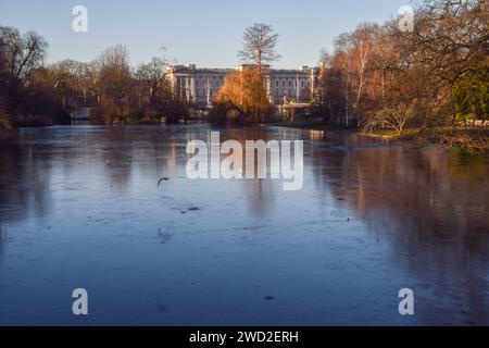 London, Großbritannien. Januar 2024. Der gefrorene See im St. James's Park am frühen Morgen mit Blick auf den Buckingham Palace, während die Temperaturen im ganzen Vereinigten Königreich weiterhin kalt sind. Quelle: Vuk Valcic/Alamy Live News Stockfoto