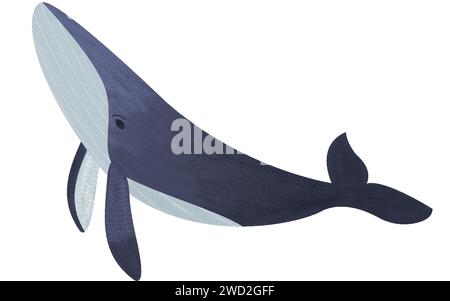 Buckelwal mit Gefälle und Lärm. Zeichentrickfilm Säugetierblauwal mit Korn isoliert auf weißem Hintergrund. Vektorabbildung Stock Vektor