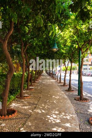 Stadtpark im Zentrum von Malaga Stockfoto