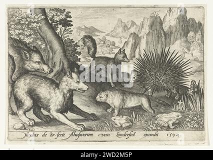 Wildschweine, Füchse, Biber, Stachelschweine und Frösche, Nicolaes de Bruyn, 1594 Druckerei: Niederlandspublisher: Antwerpener Papierstich Huftiere: Eber. Raubtiere, Raubtiere: fuchs. Nagetiere: biber. Andere Säugetiere: stachelschwein. Schwanzlose Amphibien: Frosch Stockfoto