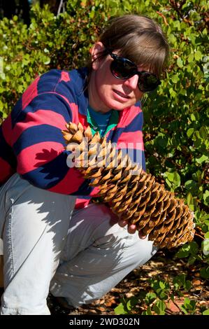 Zuckerkiefer (Pinus lambertiana) am Park Ridge Trail, Kings Canyon National Park, Kalifornien Stockfoto