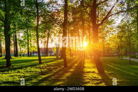 Wunderschöne Landschaft eines Stadtparks mit grünem Rasen und Bäumen bei Sonnenuntergang Stockfoto