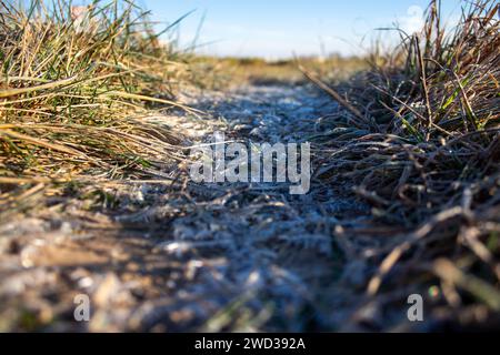 Herbstlandschaft an einem sonnigen Tag Stockfoto