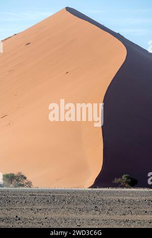 Landschaft mit Menschen, die an kurvigem Rand der großen Düne 45 in der Wüste Naukluft klettern, aufgenommen im hellen Licht des späten Frühlings in der Nähe von Sossusvlei, Namibia, Afrika Stockfoto