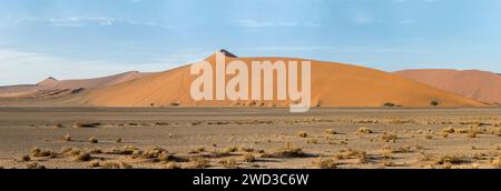 Landschaft mit Menschen, die an einem kurvigen Rand einer großen Düne in der Wüste Naukluft klettern, aufgenommen im hellen Licht des späten Frühlings in der Nähe von Sossusvlei, Namibia, Afrika Stockfoto