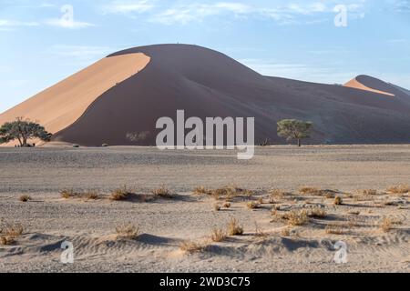 Landschaft mit schattiger Seite der großen roten Düne mit Menschen am Rand, aufgenommen im hellen Licht des späten Frühlings in der Wüste Naukluft bei Sossusvlei, Namib Stockfoto