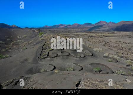 Aus der Vogelperspektive Timanfaya, Nationalpark, Caldera Blanca. Panoramablick auf Vulkane, Berge und Weinberge, Lanzarote, Kanarische Inseln, Spanien Stockfoto