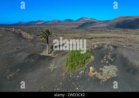 Aus der Vogelperspektive Timanfaya, Nationalpark, Caldera Blanca. Panoramablick auf Vulkane, Berge und Weinberge, Lanzarote, Kanarische Inseln, Spanien Stockfoto