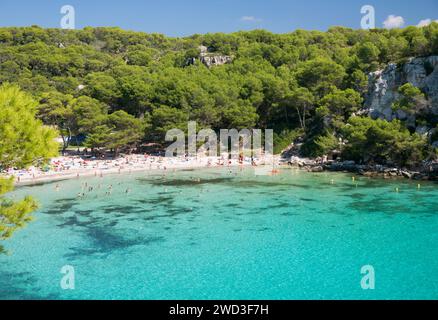 Cala Galdana, Menorca, Balearen, Spanien. Blick über das türkisfarbene Wasser von Cala Macarella bis zum Kiefernstrand. Stockfoto