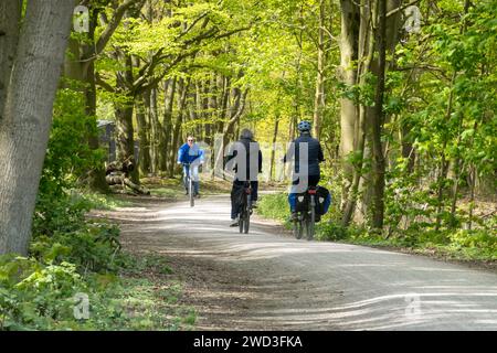 Radfahrer fahren auf dem Radweg durch den Wald in der Nähe von Laarder Wasmeer, Goois Nature Reserve, Hilversum, Niederlande Stockfoto