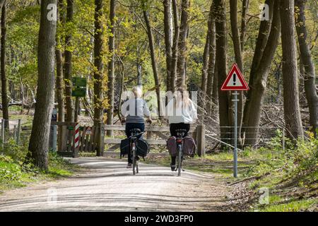 Radwege durch den Wald in der Nähe von Laarder Wasmeer, Goois Nature Reserve, Hilversum, Niederlande Stockfoto