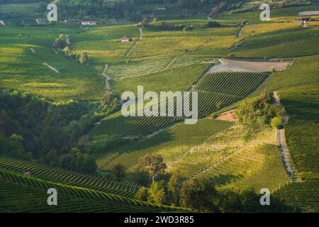 Langhe Weinberge Landschaft, Barolo und La Morra, UNESCO-Stätte, Piemont, Norditalien Europa. Stockfoto