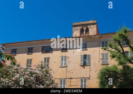 Ile Rousse, Korsika, 2017. Die vergilbte und abfallende Fassade eines alten Gebäudes mit einem hellen pinck Oleander (Nerium Oleander) im Vorfeld Stockfoto