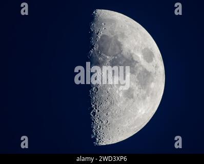 Sieversdorf, Deutschland. Januar 2024. Der etwa die Hälfte sichtbare, wachsende Mond ist am frühen Abendhimmel über Brandenburg zu sehen. Der nächste Vollmond ist am 25.01.2024. Quelle: Patrick Pleul/dpa/Alamy Live News Stockfoto