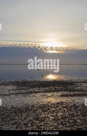 Wintersonnenuntergang am Chalkwell Beach, nahe Southend-on-Sea, Essex, England, Vereinigtes Königreich, mit Leerzeichen für Text Stockfoto