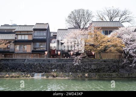 Blick auf die Kirschblüte entlang des Kasano River, Kanazawa, Ishikawa District, Japan Stockfoto