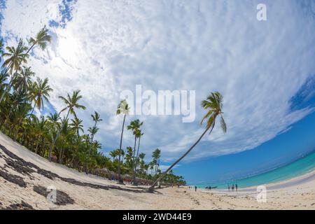 Wunderschöner wilder Sandstrand in Punta Cana, Dominikanische Republik. Blick auf die Fische. Stockfoto