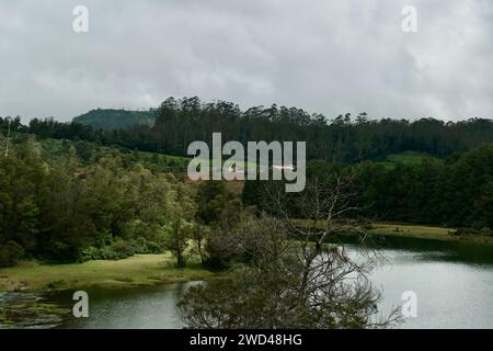 Der Fluss fließt vor einem üppigen Wald, der mit lebhaftem grünem Gras am Ufer geschmückt ist Stockfoto