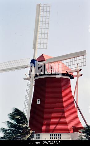 Berühmtes Red Mill Restaurant auf Aruba CA. 1996. Bitte schreiben Sie dem Fotografen Joan Iaconetti zu Stockfoto