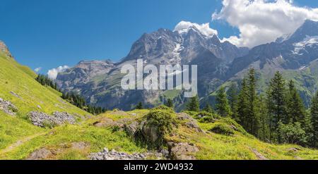 Die Jungfrau Paek in den Berner alpen über den alpenwiesen in Hinteres Lauterbrunnental. Stockfoto