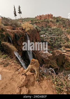 Ouzoud Falls in der Nähe des großen Atlas-Dorfes Tanaghmeilt, Marokko. Wunderschöner Panoramablick auf die Landschaft Stockfoto