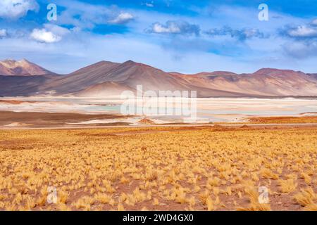 Salar de Aguas Calientes (Spanisch für warmes Wasser Salz See) und die Lagune in den Anden Altiplano (Hochebene) über 4000 Meter über dem Meeresspiegel, Los Stockfoto