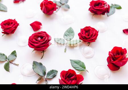 Eine Kollektion von leuchtenden roten Rosen, die mit üppig grünen Blättern verziert sind, vor einem unberührten weißen Hintergrund Stockfoto