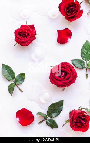 Weißer Hintergrund mit Blumenanordnung oben und verstreuten Blütenblättern unten Stockfoto