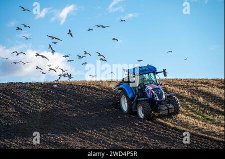 New Holland Traktor pflügt Feld nördlich von Glasgow Schottland Stockfoto