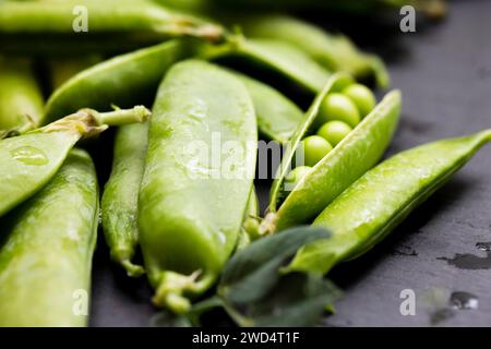 Nahaufnahme frisch geernteter grüner Erbsen Stockfoto