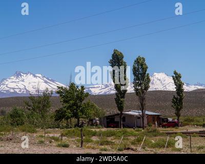 Das ländliche Leben und die schneebedeckten Gipfel der Anden aus Sicht der Ruta 40 nahe El Sosneado, Provinz Mendoza, Argentinien Stockfoto