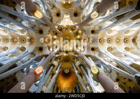 Im Inneren des Basílica i Temple Expiatori de la Sagrada Família, Innenausstattung des Kirchenschiffs, von Antoni Gaudí, Barcelona, Spanien Stockfoto