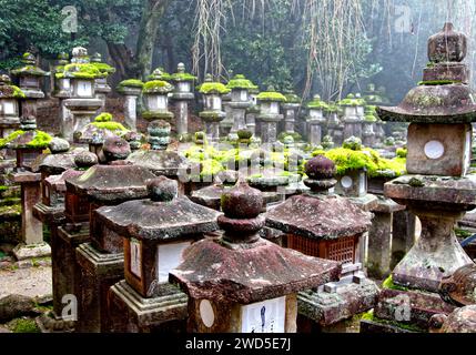 Moosbedeckte Steinlaternen in Kasuga Taisha oder Kasuga Grand Shrine in Nara, Japan. Stockfoto