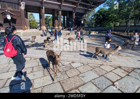 Das große Südtor oder Nandaimon des Todaiji-Tempels, ein UNESCO-Weltkulturerbe in Nara, Japan. Stockfoto