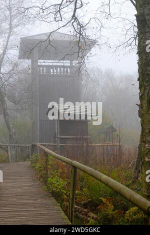 Nebel, Aussichtsturm Bohlenweg im Naturschutzgebiet Rotes Moor, Hessisches Rhoen, Hessen, Deutschland Stockfoto