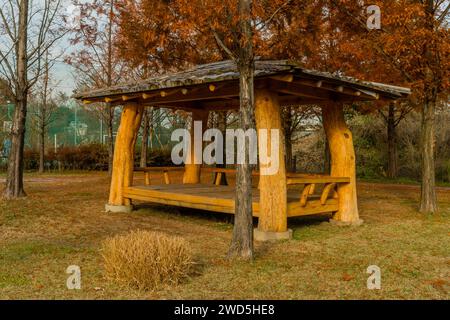 Herbstlandschaft mit überdachtem Picknickhäuschen im öffentlichen Park mit Bäumen, die ihre Blätter verloren haben, Südkorea, Südkorea Stockfoto