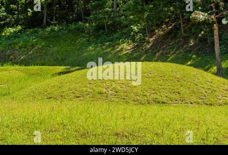 Unmarkiertes Berggrab bedeckt mit wunderschön gepflegtem grünem Gras im Waldpark an sonnigem Tag, Südkorea Stockfoto