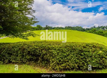 Grab von König Muryeong hinter grünem Sträucher unter bewölktem Himmel in Gongju, Südkorea, Südkorea Stockfoto