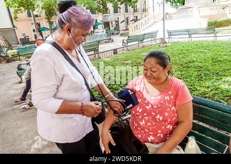 Merida Mexico, Centro historico Central Historico Central Historic District, Frau Frauen weiblich, Erwachsene, Bewohner, bietet kostenlose Blutdrucktests an Stockfoto