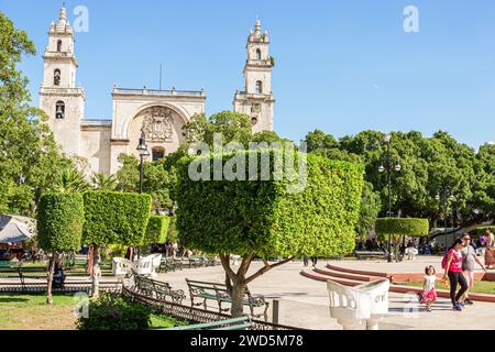 Merida Mexico, zentrales historisches Zentrum, öffentlicher Park Plaza Grande, Kathedrale von Merida San Ildefonso, Außenfassade, Gebäude Stockfoto